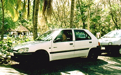 martinique, voiture, automobile rental, location